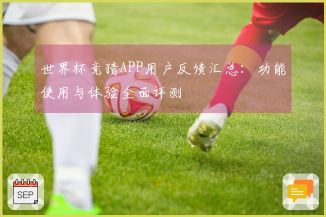 世界杯竞猜APP用户反馈汇总：功能使用与体验全面评测