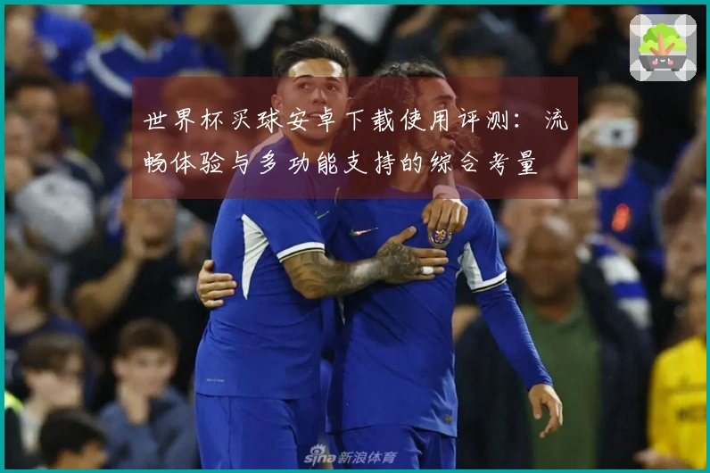 世界杯买球安卓下载使用评测：流畅体验与多功能支持的综合考量