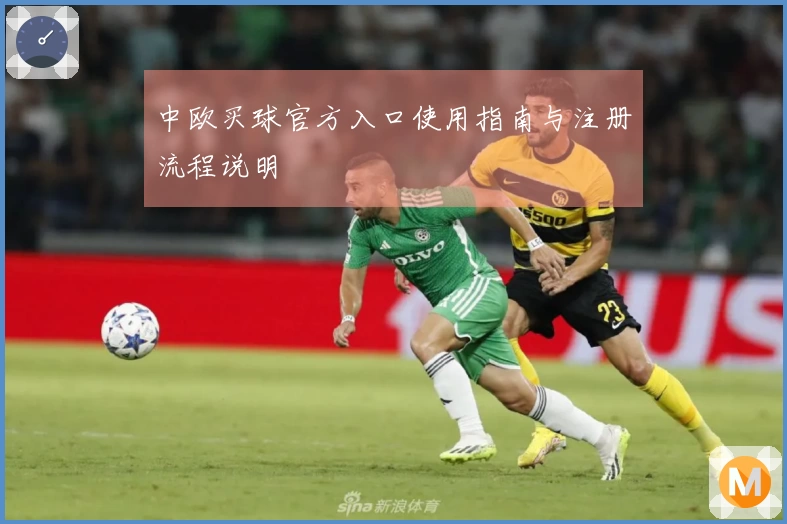 中欧买球官方入口使用指南与注册流程说明