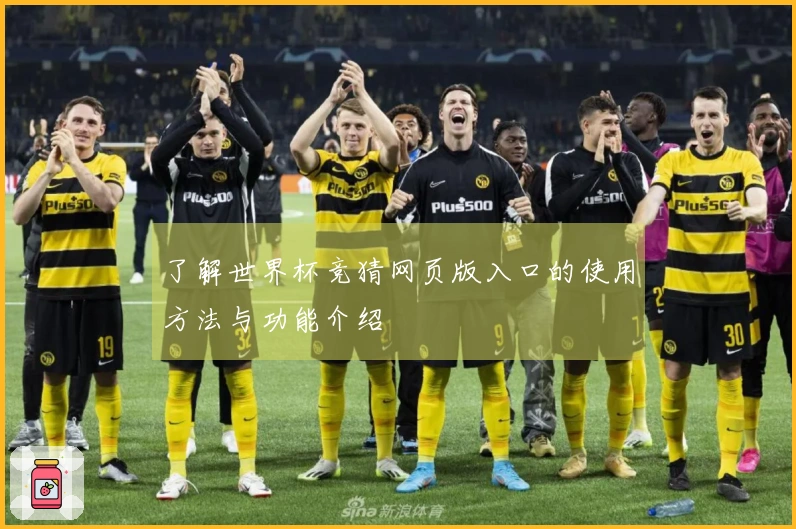 了解世界杯竞猜网页版入口的使用方法与功能介绍