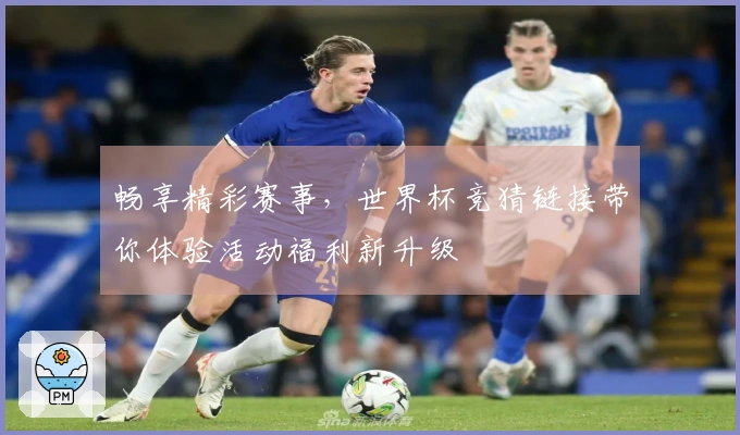 畅享精彩赛事，世界杯竞猜链接带你体验活动福利新升级