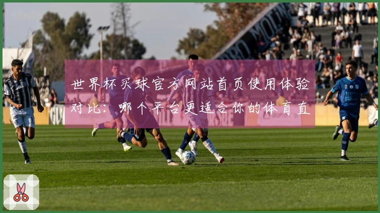 世界杯买球官方网站首页使用体验对比：哪个平台更适合你的体育直播需求？