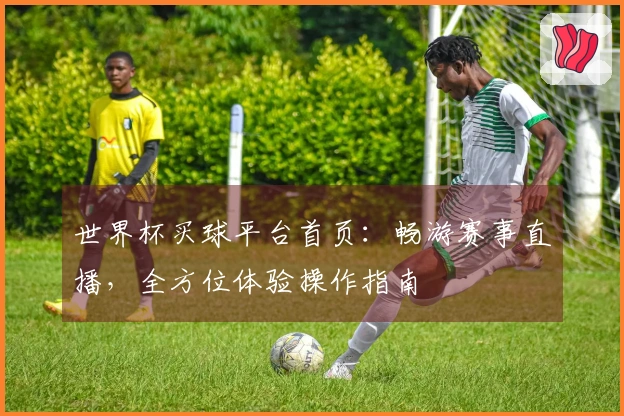 世界杯买球平台首页：畅游赛事直播，全方位体验操作指南