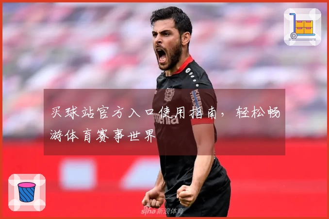 买球站官方入口使用指南，轻松畅游体育赛事世界