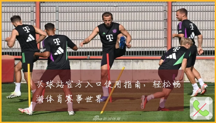 买球站官方入口使用指南，轻松畅游体育赛事世界