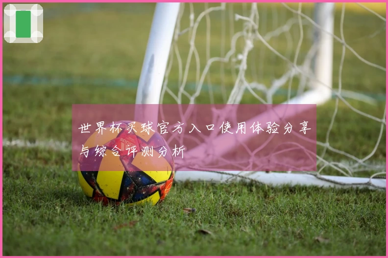 世界杯买球官方入口使用体验分享与综合评测分析