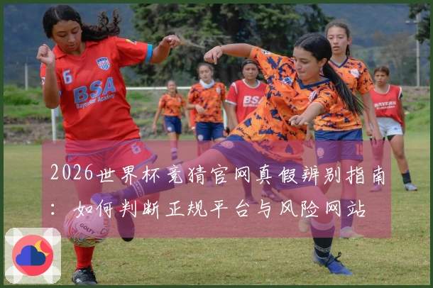2026世界杯竞猜官网真假辨别指南：如何判断正规平台与风险网站