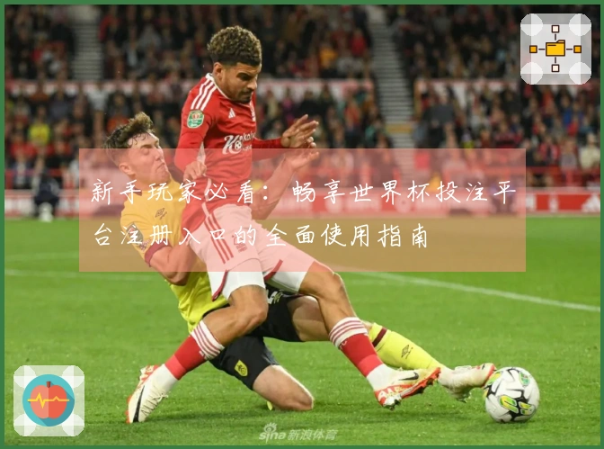 新手玩家必看：畅享世界杯投注平台注册入口的全面使用指南