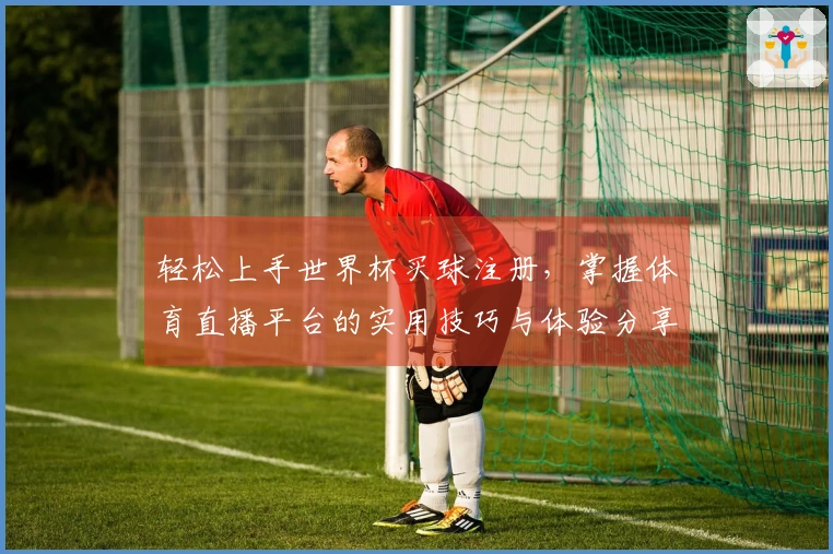 轻松上手世界杯买球注册，掌握体育直播平台的实用技巧与体验分享