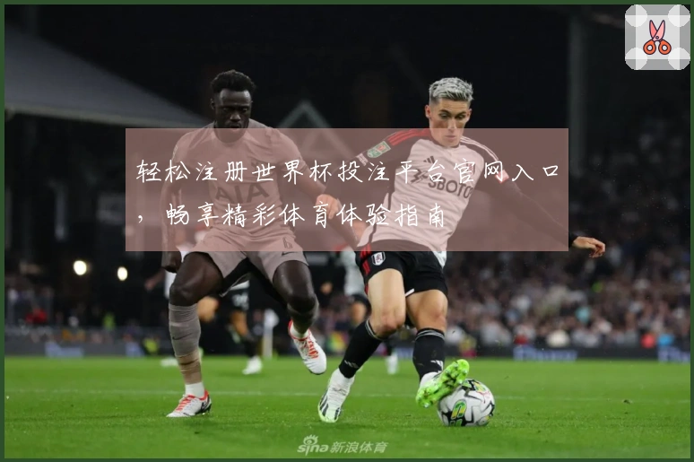 轻松注册世界杯投注平台官网入口，畅享精彩体育体验指南