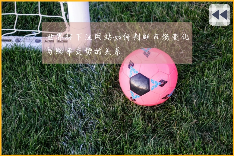 世界杯下注网站如何判断市场变化与赔率走势的关系